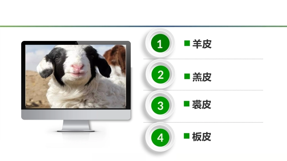 羊生产：羊皮PPT教学课件.pptx_第3页