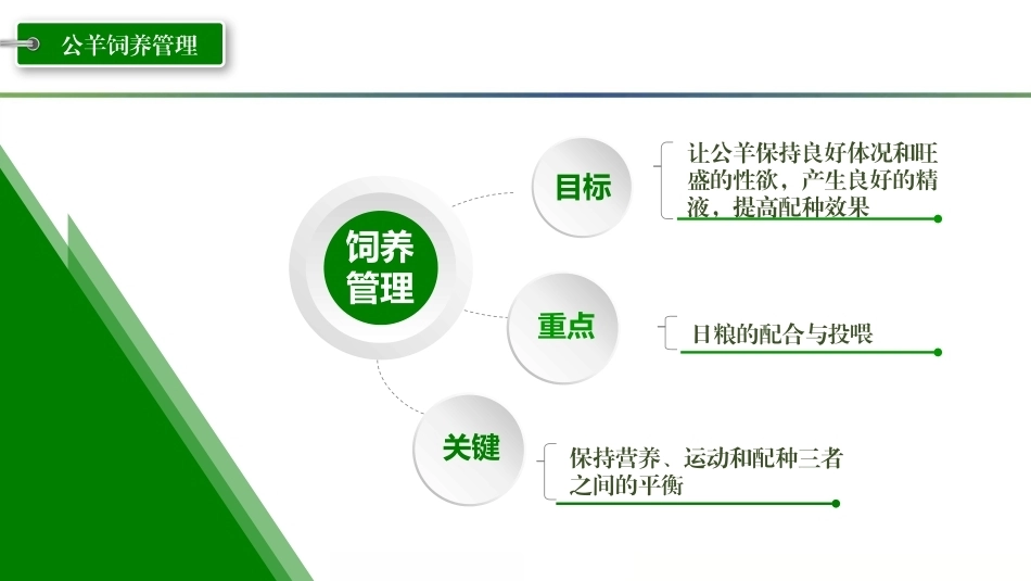 羊生产：种公羊的饲养管理PPT教学课件.pptx_第3页
