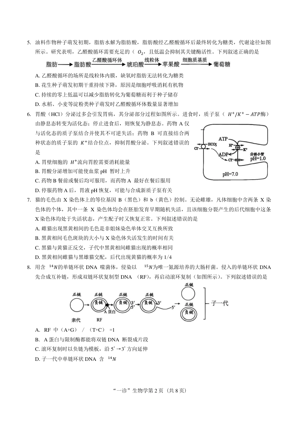 南充市高2027届高三（一诊） 生物试卷（含官方答案）.pdf_第2页