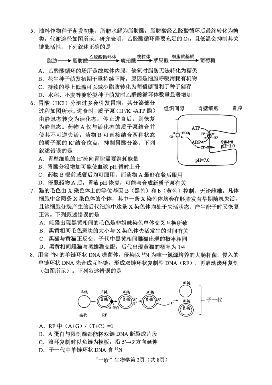 南充市高2027届高三高考适应性考试（一诊）生物试卷（含官方答案）原卷.pdf_第2页