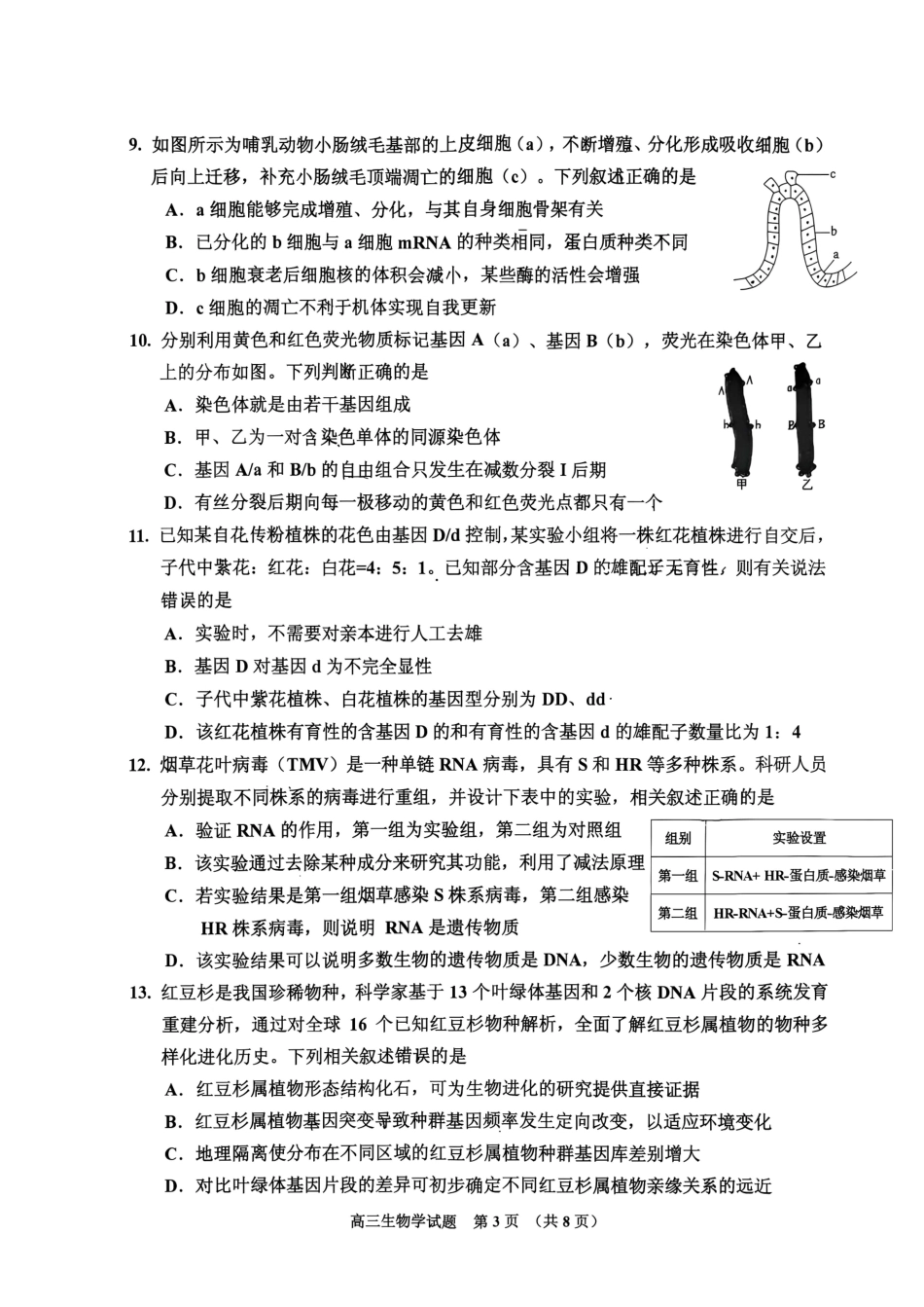 吉林地区2027届高三第一次调研测试 生物试卷（含答案）原卷.pdf_第3页