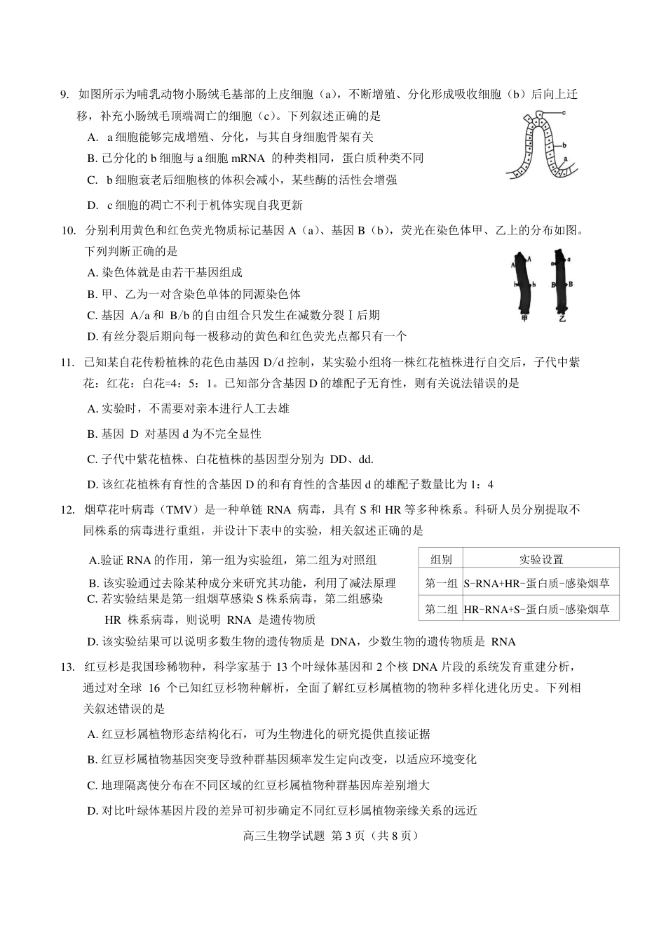 吉林市2027届高三（一调） 生物试卷（含答案）.pdf_第3页