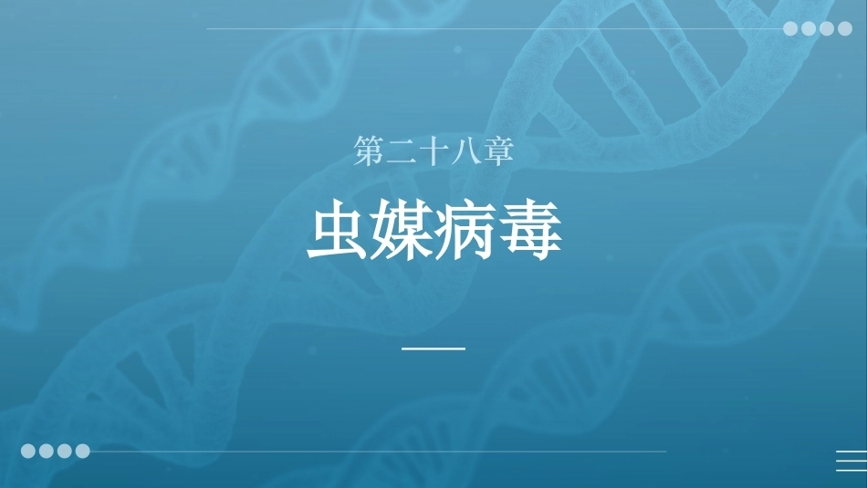 病原生物与免疫学：虫媒病毒PPT教学课件.pptx_第1页