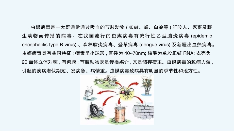 病原生物与免疫学：虫媒病毒PPT教学课件.pptx_第3页