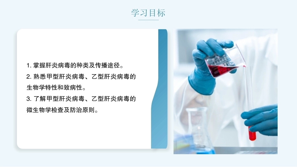 病原生物与免疫学：肝炎病毒PPT教学课件.pptx_第2页