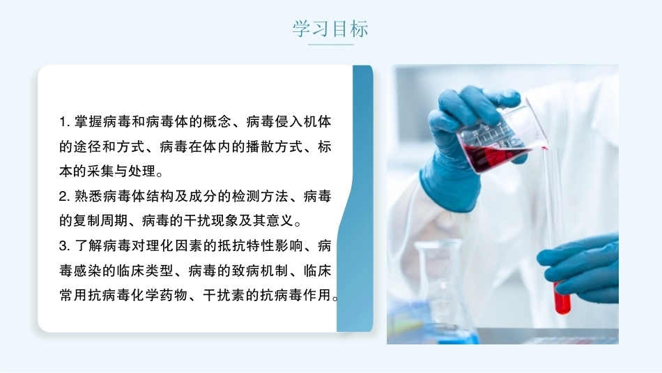 病原生物与免疫学：病毒概论PPT教学课件.pptx_第2页