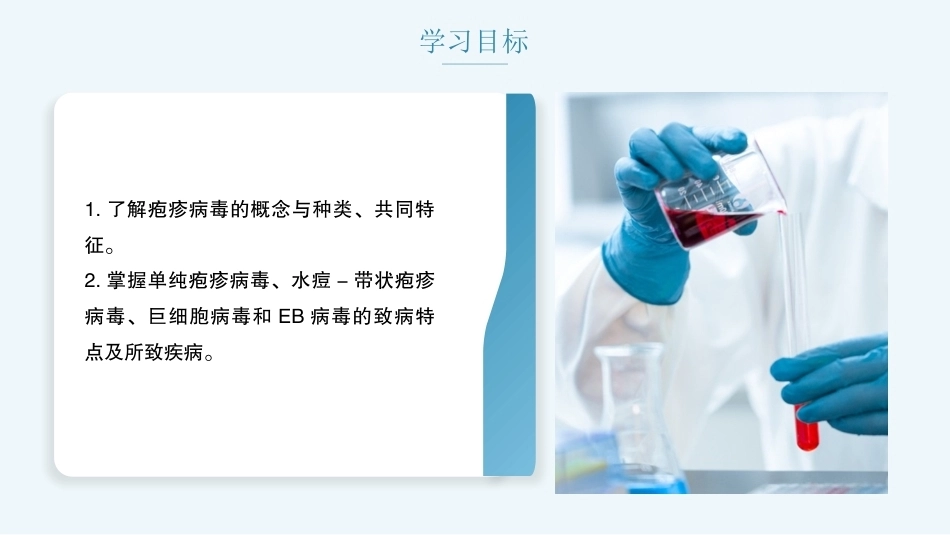 病原生物与免疫学：疱疹病毒PPT教学课件.pptx_第2页