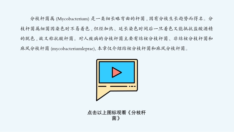病原生物与免疫学：分枝杆菌属PPT教学课件.pptx_第3页