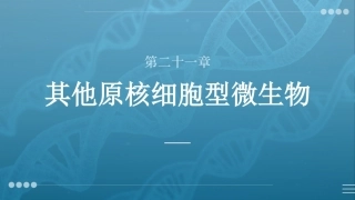 病原生物与免疫学：其他原核细胞型微生物PPT教学课件.pptx