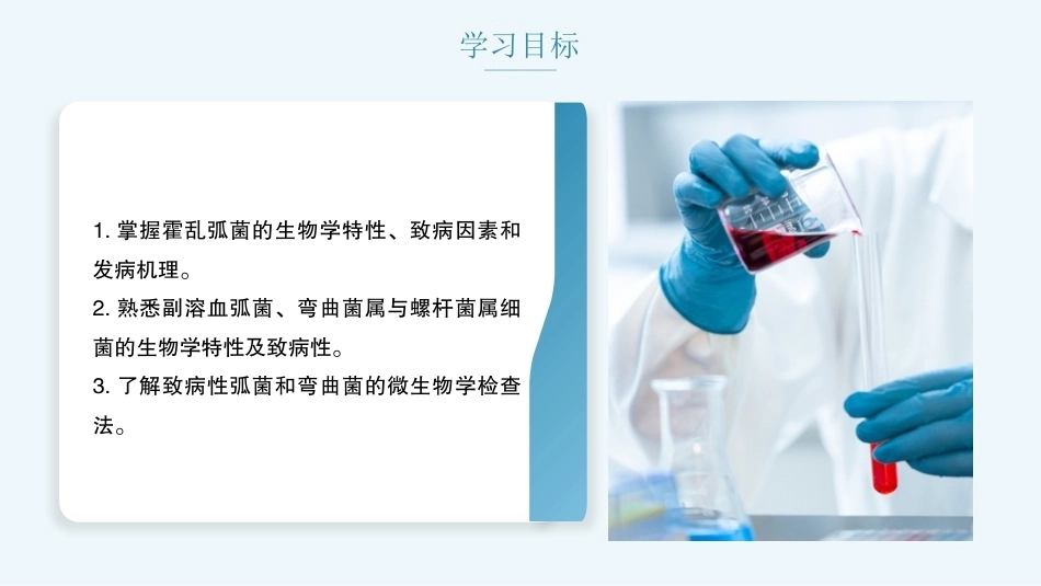 病原生物与免疫学：弧菌属、弯曲菌属与螺杆菌属PPT教学课件.pptx_第2页