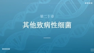 病原生物与免疫学：其他致病性细菌PPT教学课件.pptx