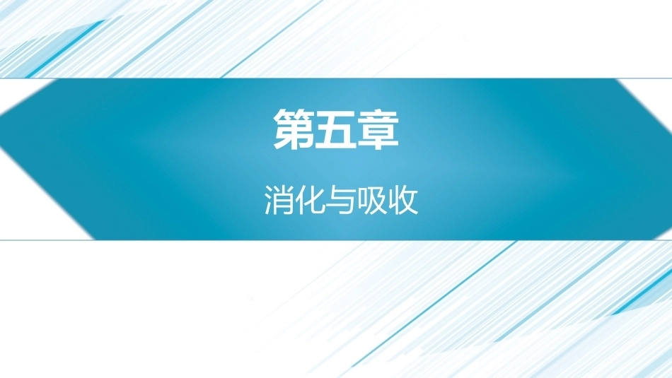 生理学(护理专业)：消化与吸收PPT教学课件.pptx_第1页