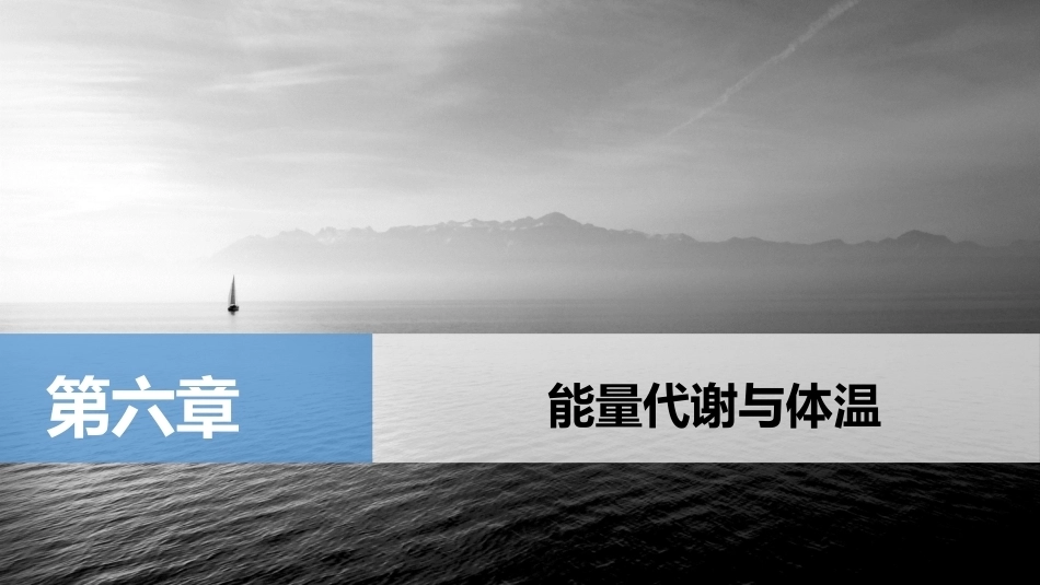 生理学(护理专业)：能量代谢与体温PPT教学课件.pptx_第1页