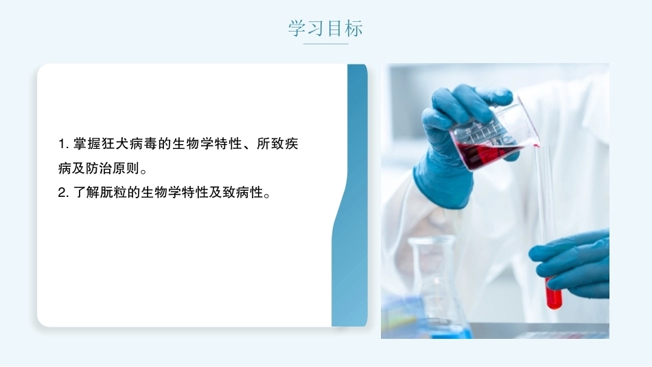 病原生物与免疫学：其他病毒PPT教学课件.pptx_第2页