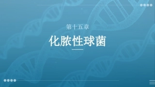 病原生物与免疫学：化脓性球菌PPT教学课件.pptx