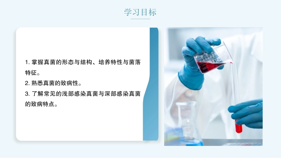 病原生物与免疫学：真菌PPT教学课件.pptx_第2页