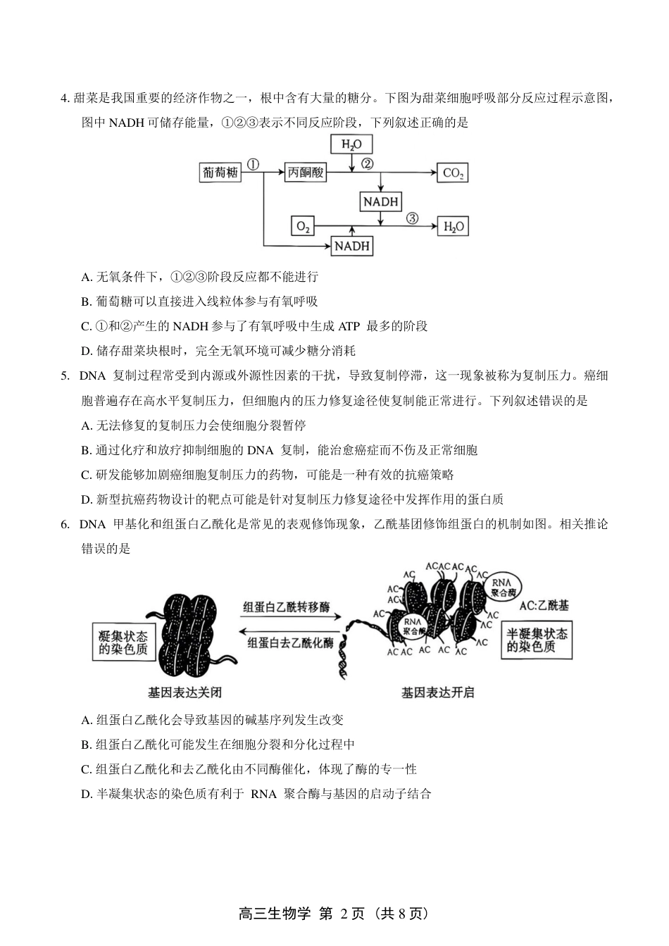 豫西北教研联盟（平顶山许昌济源洛阳）2027届高三（一模） 生物试卷（含答案）.pdf_第2页