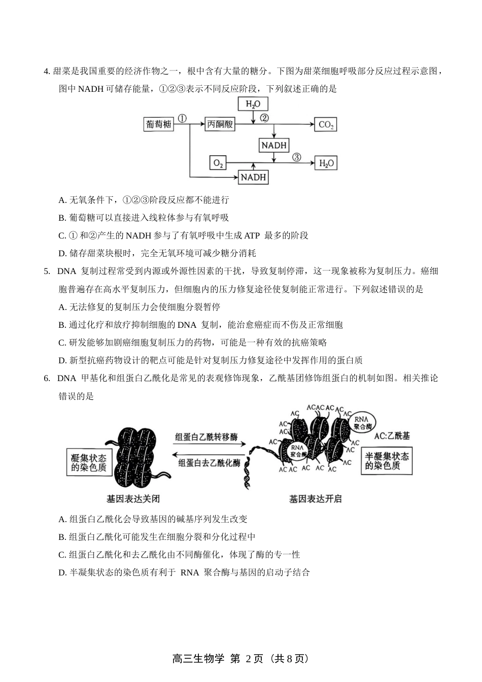平顶山市2027届高三（一模）生物试卷（含答案）.docx_第2页