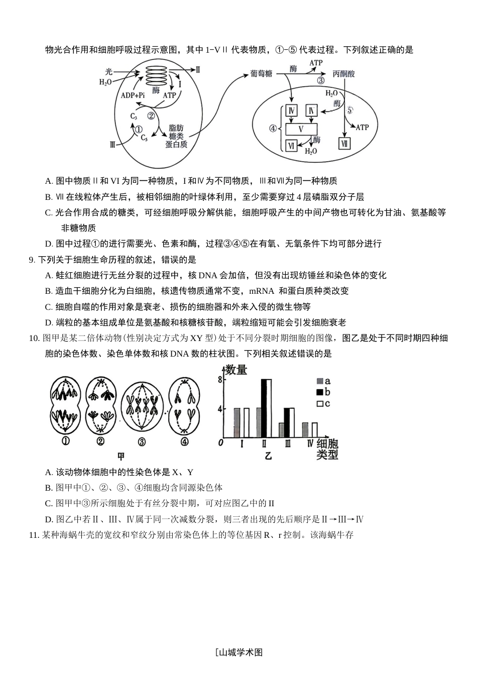 重庆市名校联盟（七校）2027届高三上期10月联考生物试（含答案）.docx_第3页